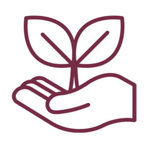 Apunto Sostenibilidad